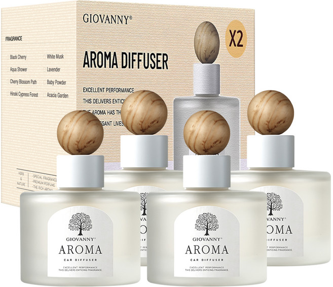 GIOVANNY 차량용 방향제 100ml 2p, 아쿠아샤워, 2세트