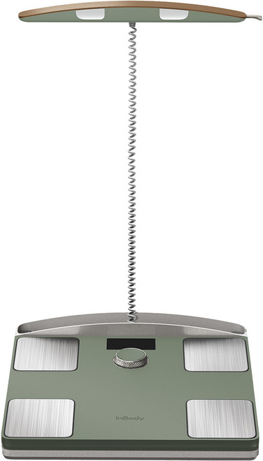 인바디 다이얼, H40NWi, 그린, 1개