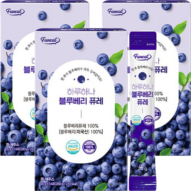 퍼니트 하루하나 블루베리 퓨레, 20g, 42개