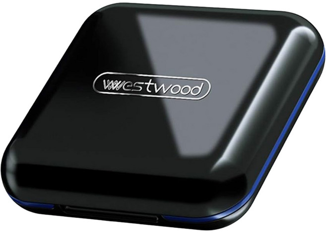 westwood pill box 高質感隨身4格小藥盒, 黑藍色, 1個