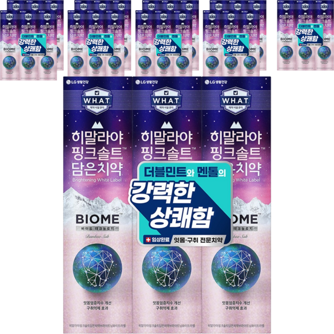 히말라야핑크솔트 담은 바이옴 잇몸 구취전문 치약, 100g, 30개