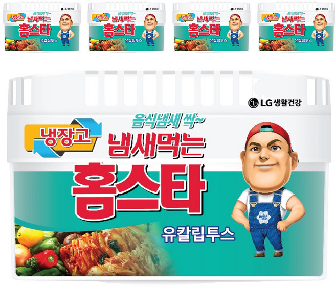냄새먹는 홈스타 냉장고용 탈취제 유칼립투스, 420g, 5개