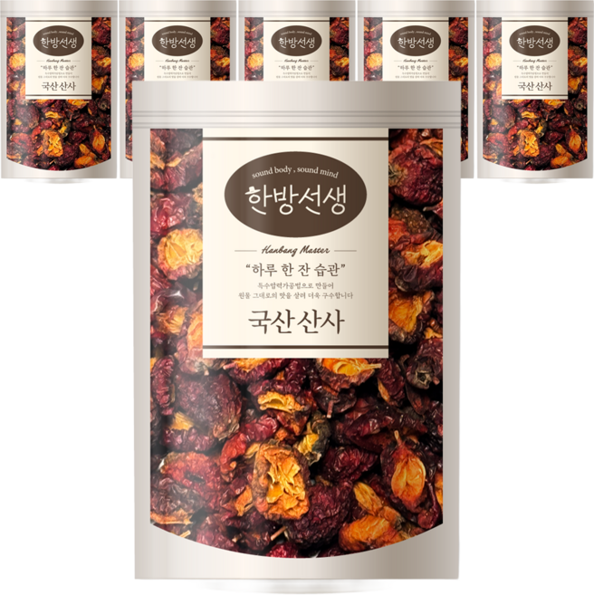 한방선생 산사, 150g, 6개