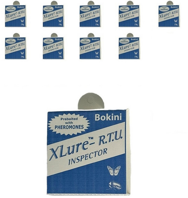 보키니 화랑곡나방 권연벌레 페로몬 트랩 소, 10개
