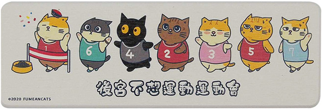收納王妃 黃阿瑪珪藻土洗漱墊 24 x 8 x 0.9cm, 終點線 白色, 2個