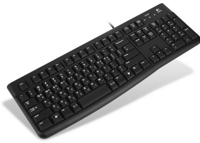 로지텍 USB 유선 일반형 키보드, K120
