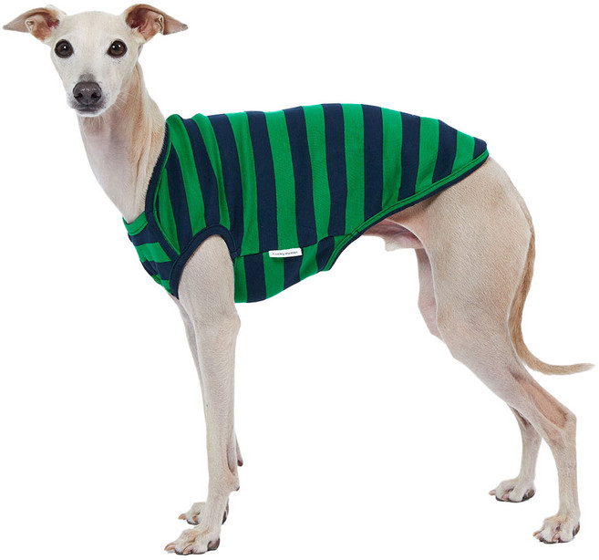 럭키페터 강아지 베이직 스트라이프 민소매, 그린 + 네이비, 1개