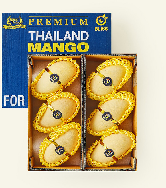 이웃마을 태국산 망고, 2.9kg(6~8과/XL), 1개