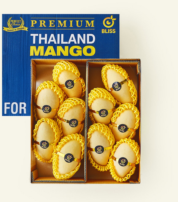 이웃마을 태국산 망고, 2.9kg(10~11과/M), 1개