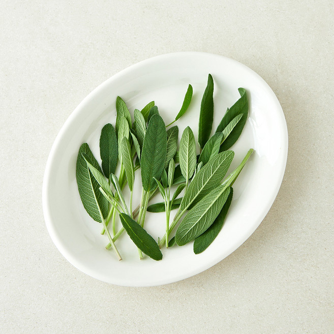 국내산 세이지, 1개, 10g