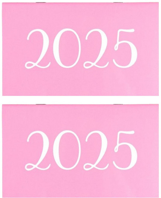 conifer 綠的事務 2025年輕巧月計畫本 附吊嘎涼爽超輕提袋, 甜粉紅, 2本