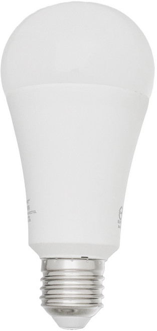 EVERLIGHT 億光 LED 球泡燈 15W 全電壓 E27 白光 環保節能標章, 1個