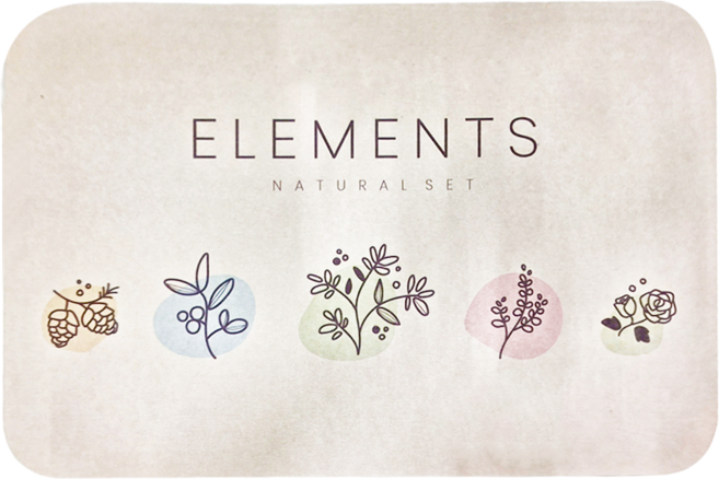 收納王妃 珪藻土地墊, 植物系列, 1個