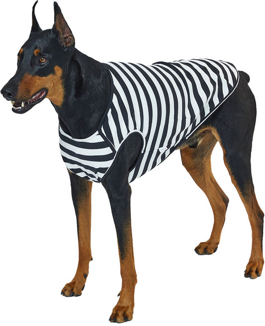 럭키페터 강아지 베이직 스트라이프 민소매, 화이트 + 블랙, 1개