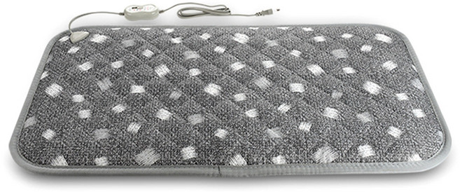 테르톤 실크 그레이 2인 전기방석 TB-4302, 혼합 색상, 가로 90cm x 세로 45cm