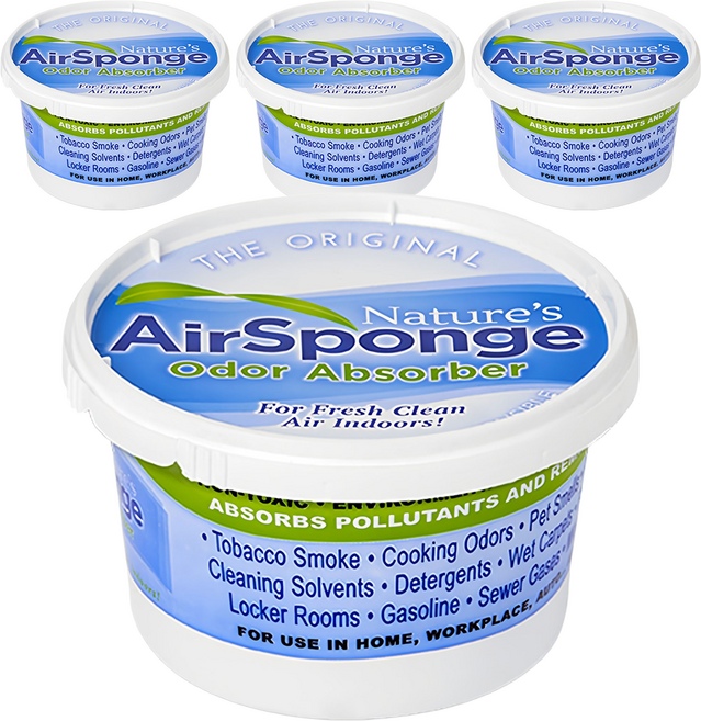 네이처스에어스펀지 오리지널 실내 탈취제 본품 대형, 454g, 4개