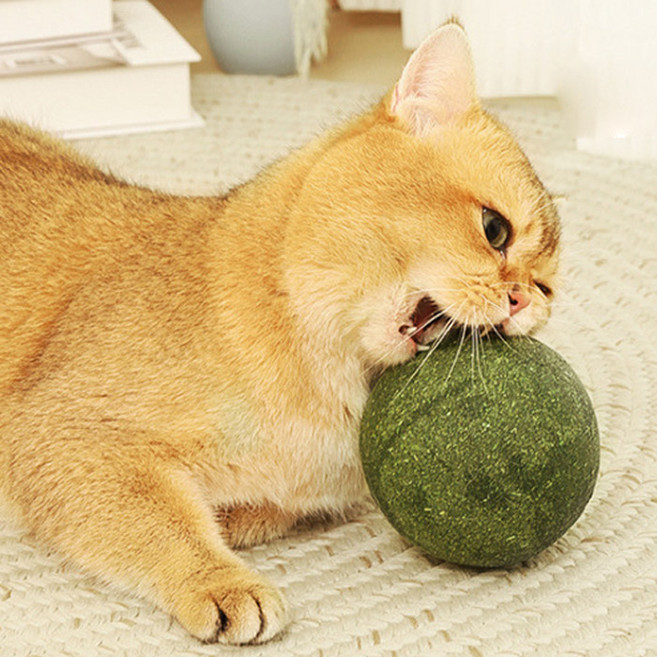 딩동펫 고양이 대왕 캣닢볼 장난감, 혼합색상, 1개
