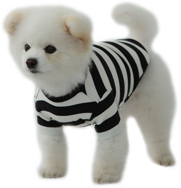 럭키페터 강아지 베이직 스프라이프 티셔츠, 화이트 + 블랙, 1개