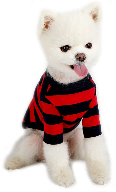 럭키페터 강아지 베이직 스프라이프 티셔츠, 레드 + 네이비, 1개