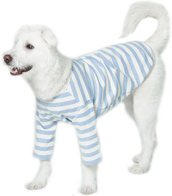 럭키페터 강아지 베이직 스프라이프 티셔츠, 아이보리 + 블루, 1개