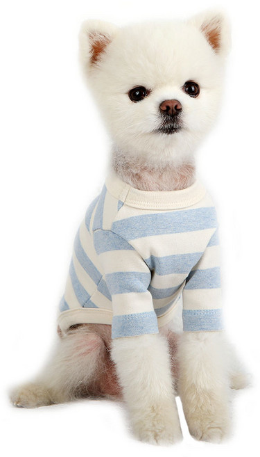 럭키페터 강아지 베이직 스프라이프 티셔츠, 아이보리 + 블루, 1개