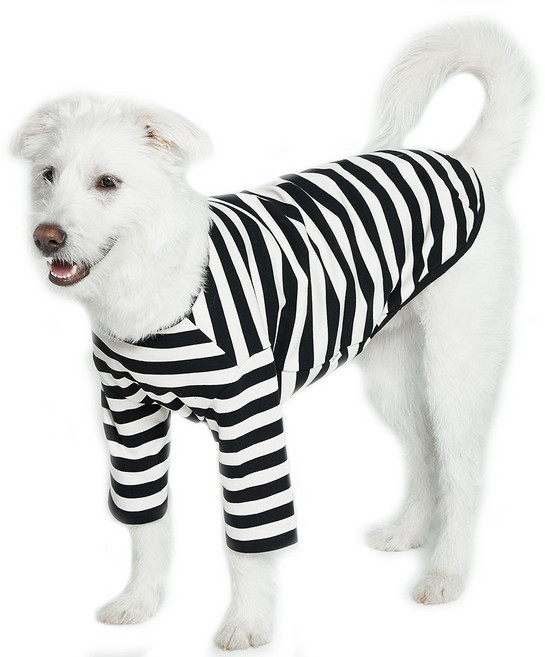 럭키페터 강아지 베이직 스프라이프 티셔츠, 화이트 + 블랙, 1개