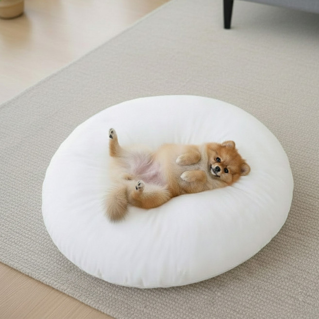 펫코노미 반려동물 찹쌀모찌 필로우 쿠션, 화이트, 1개