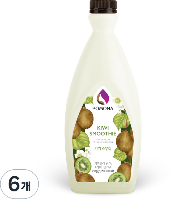포모나 스무디 시럽 키위, 2kg, 6개