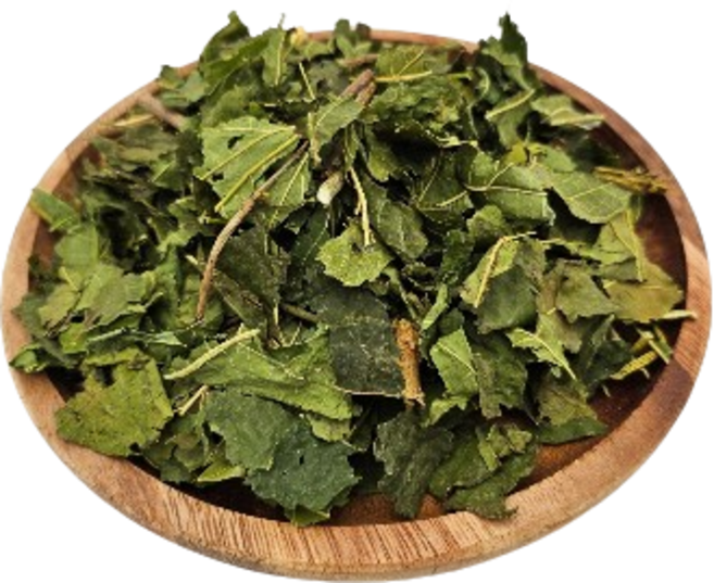 나누리 국내산 뽕잎, 600g, 1개