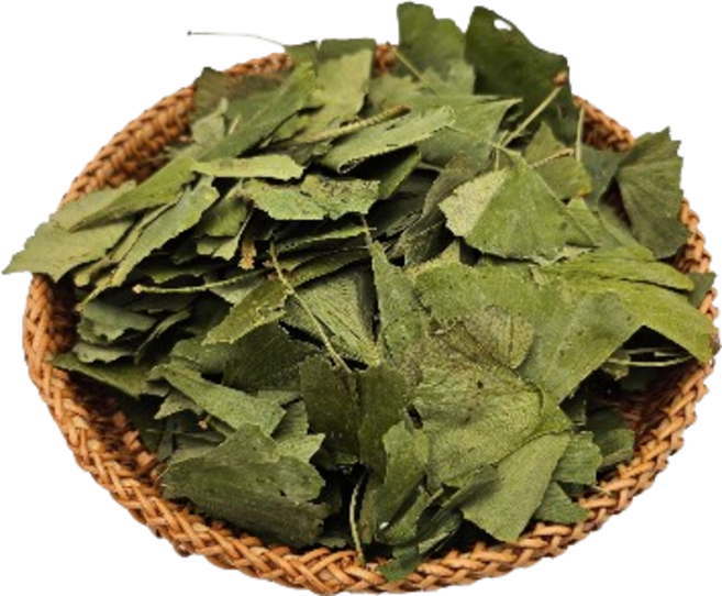 나누리 국내산 은행잎, 300g, 1개