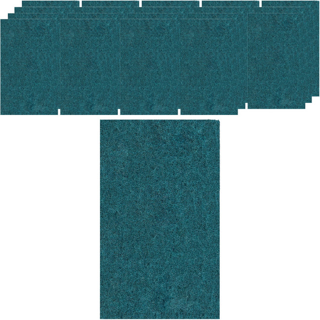 청소해결사 다목적 청수세미, 10개입, 2개