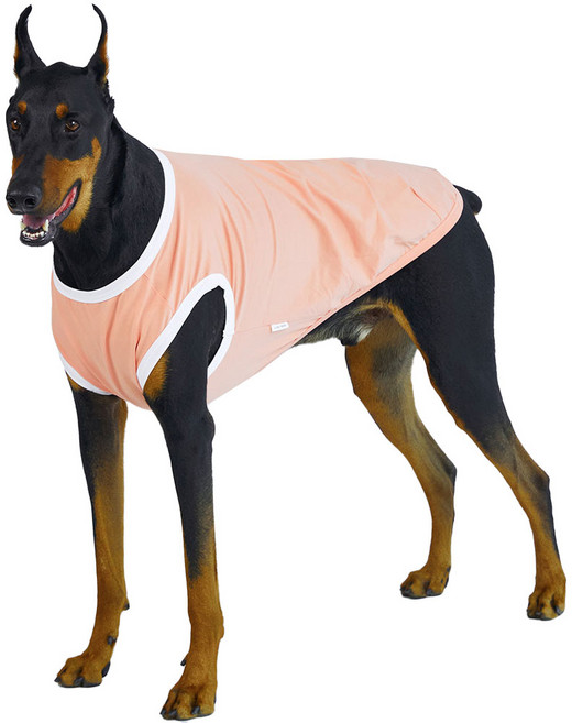 럭키페터 강아지 컬러링거 민소매 티셔츠, 피치 + 화이트, 1개