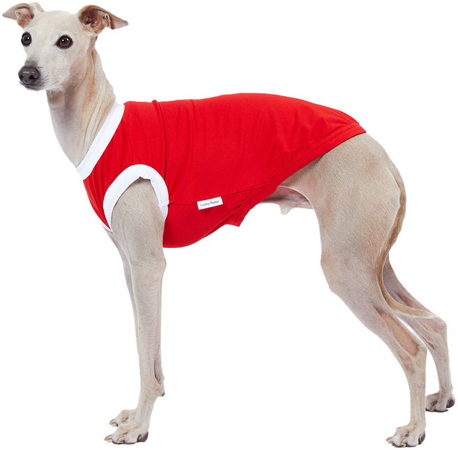 럭키페터 강아지 컬러링거 민소매 티셔츠, 레드 + 화이트, 1개