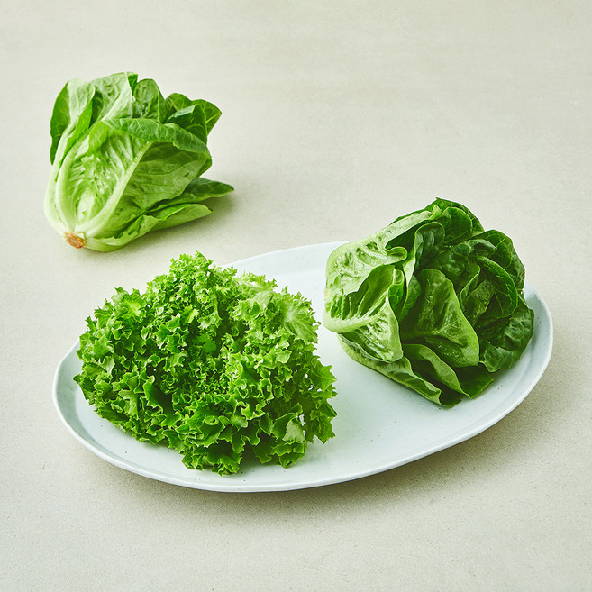 팜에이트 무농약 인증 스마트팜 아삭한 로메인 2입 + 프릴아이스 세트, 1세트, 280g