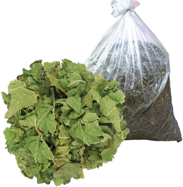 동광한방몰 국내산 뽕잎 상엽, 6kg, 1개