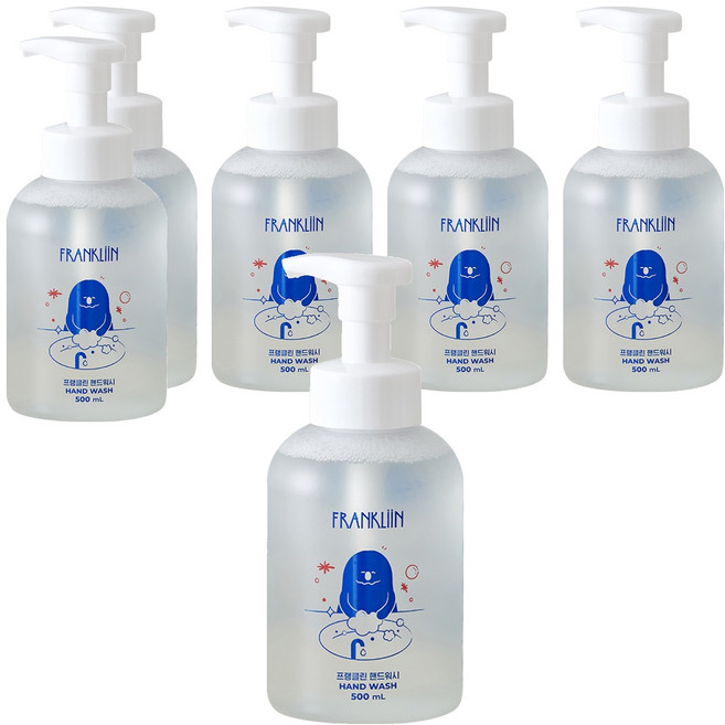 FRANKLIIN 핸드워시 거품형, 원료 본연의 향, 500ml, 6개