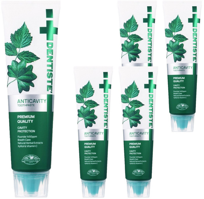 덴티스테 안티캐비티 치약, 100g, 5개