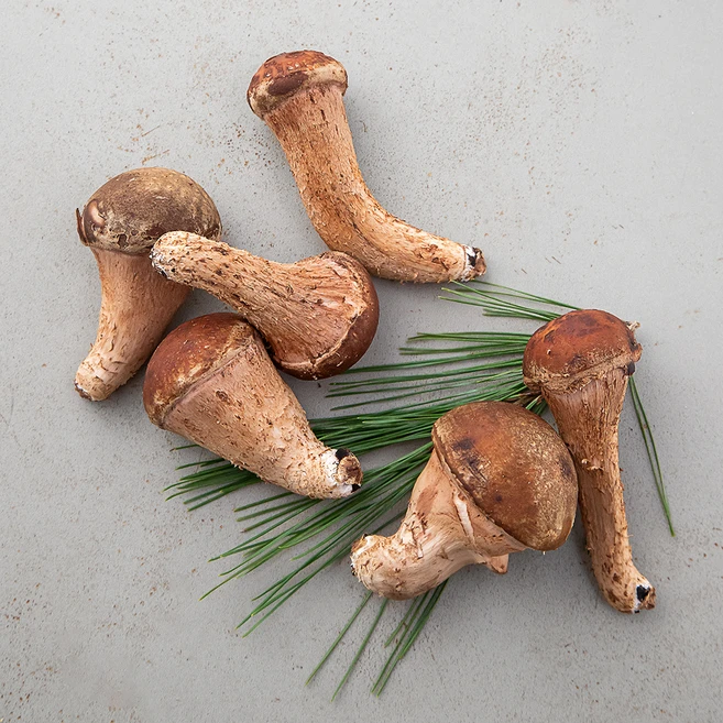 국내산 참송이버섯, 150g, 1개 - 쿠팡