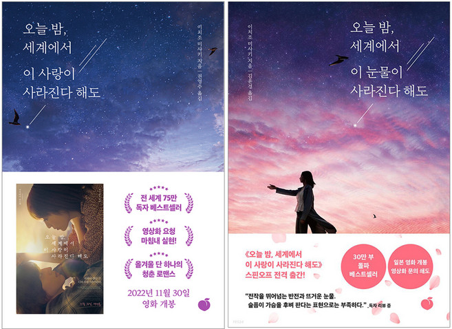 오늘 밤 세계에서 이 사랑이 사라진다 해도 + 오늘 밤 세계에서 이 눈물이 사라진다 해도, 이치조 미사키, 모모