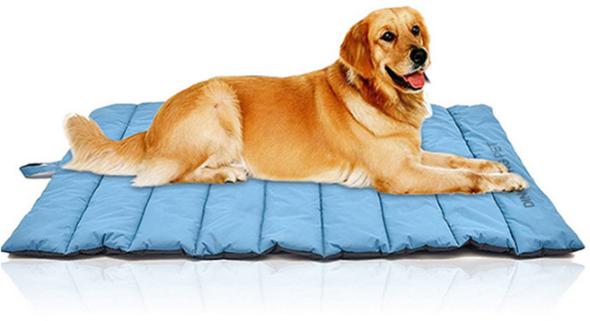딩동펫 반려동물 캠핑 방수쿠션, 블루, 1개