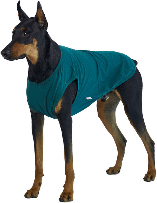 럭키페터 강아지 아이쥐옷 무지 민소매, 그린, 1개