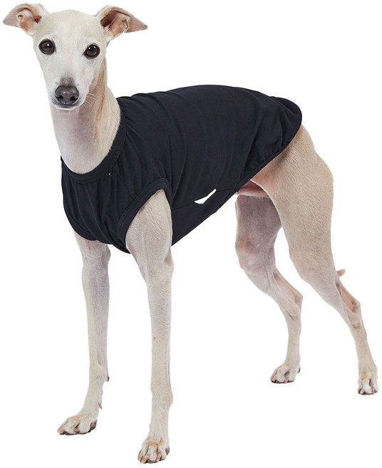 럭키페터 강아지 아이쥐옷 무지 민소매, 블랙, 1개