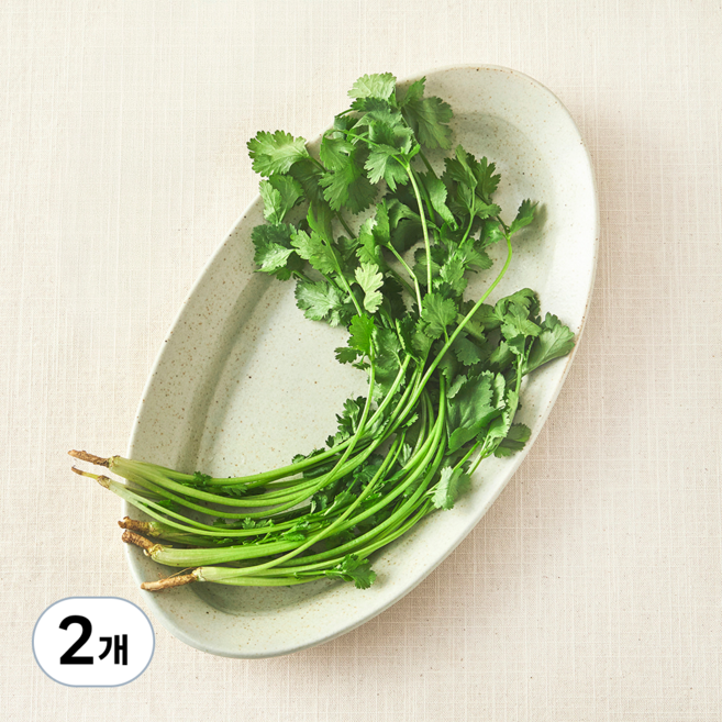 국내산 유기농 고수, 30g, 2개