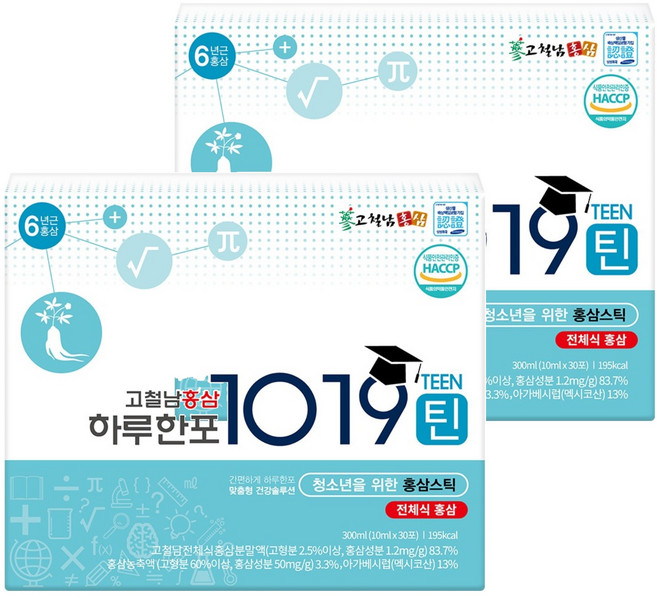 고철남홍삼 하루한포 1019틴 홍삼 스틱, 300ml, 2개