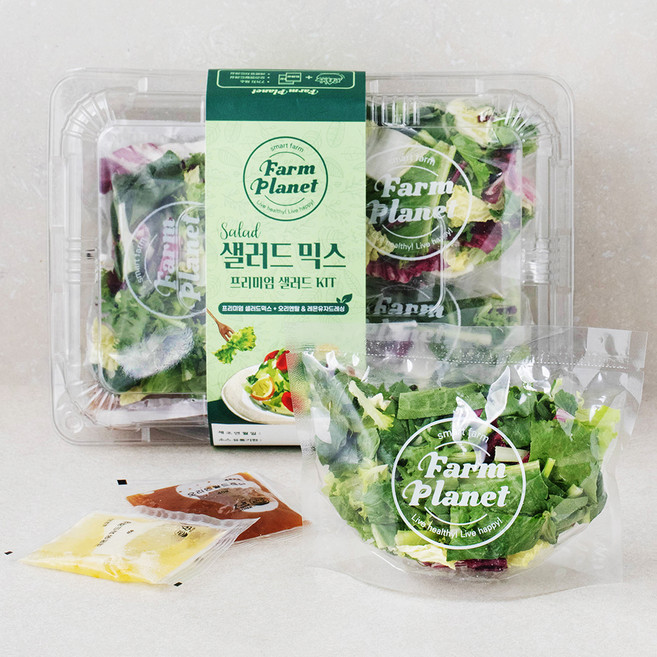 팜플래닛 샐러드믹스 키트, 525g, 1개