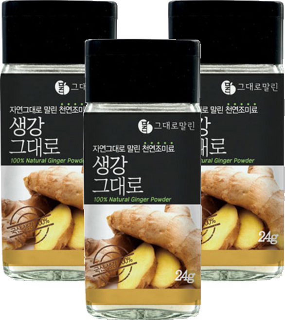 그대로말린 조미료 생강그대로, 3개, 24g