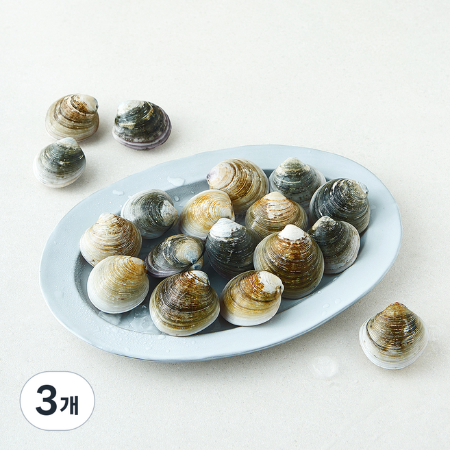 바다림 서해안 생물 모시조개 (냉장), 3개, 400g