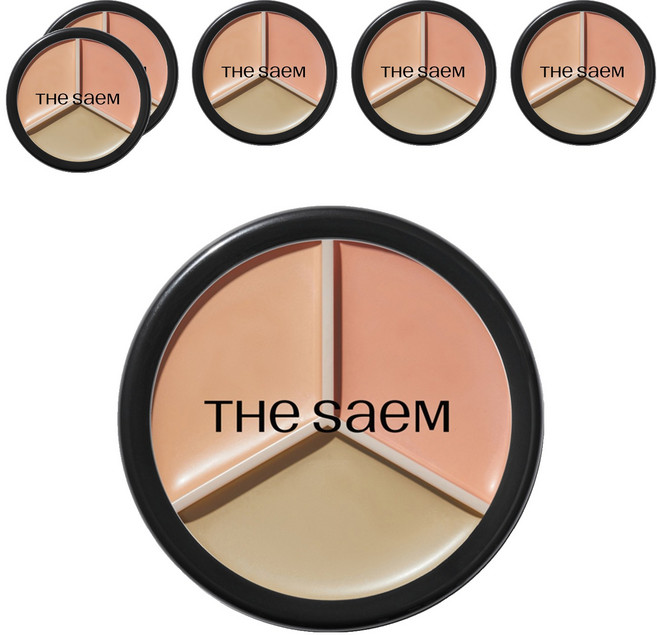 더샘 커버 퍼펙션 트리플 팟 컨실러 13.5g, 6개, 01 코렉트 베이지