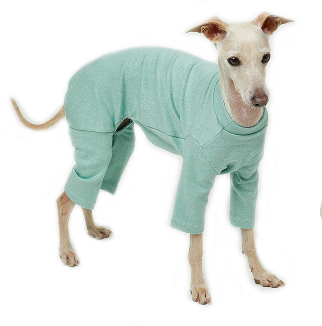 럭키페터 강아지 파스텔 파자마 올인원 아이쥐옷, 민트, 1개