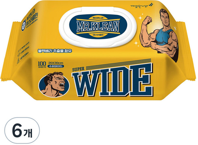 깨끗한나라 미스터클린 물티슈 캡형, 6개, 100매, 55g